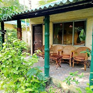 Sunderban Tiger Camp